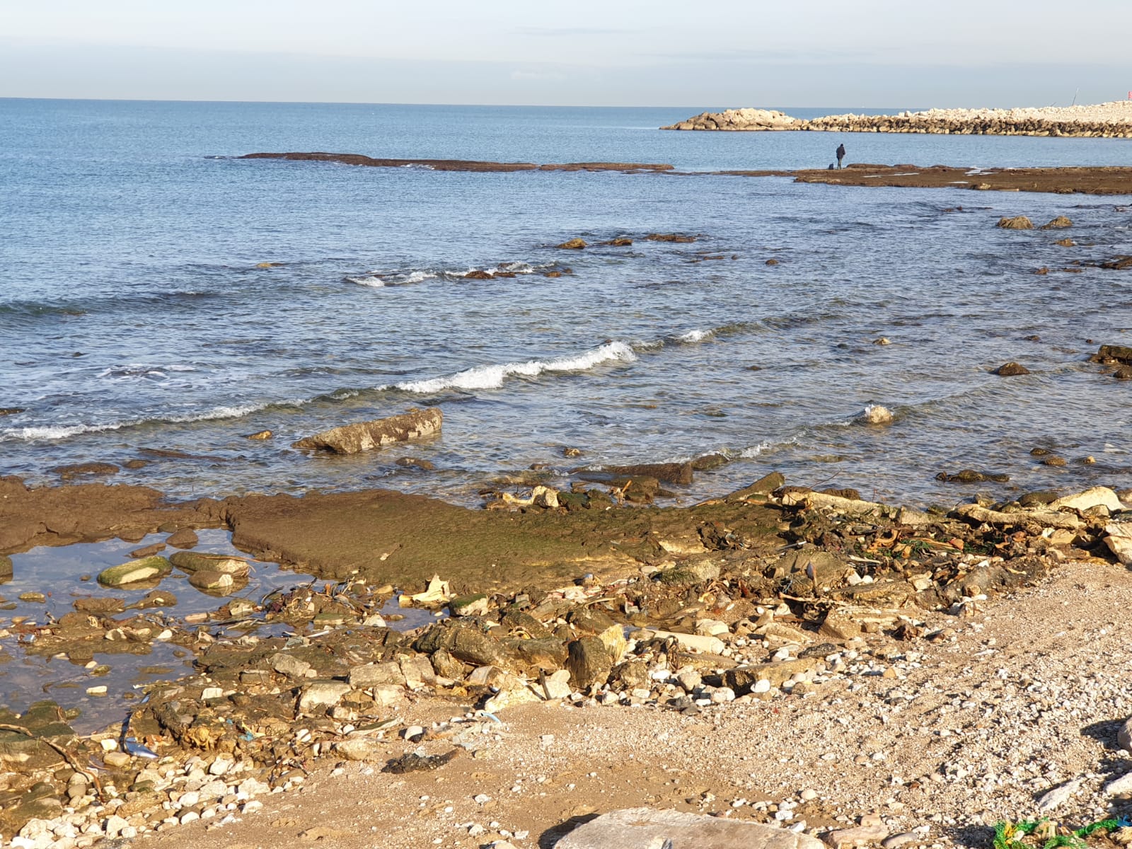 WhatsApp Image 2020-01-27 at 9.00.41 AM.jpeg.jpeg